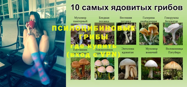 шишки Алексеевка