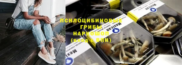 прущие крисы Алзамай